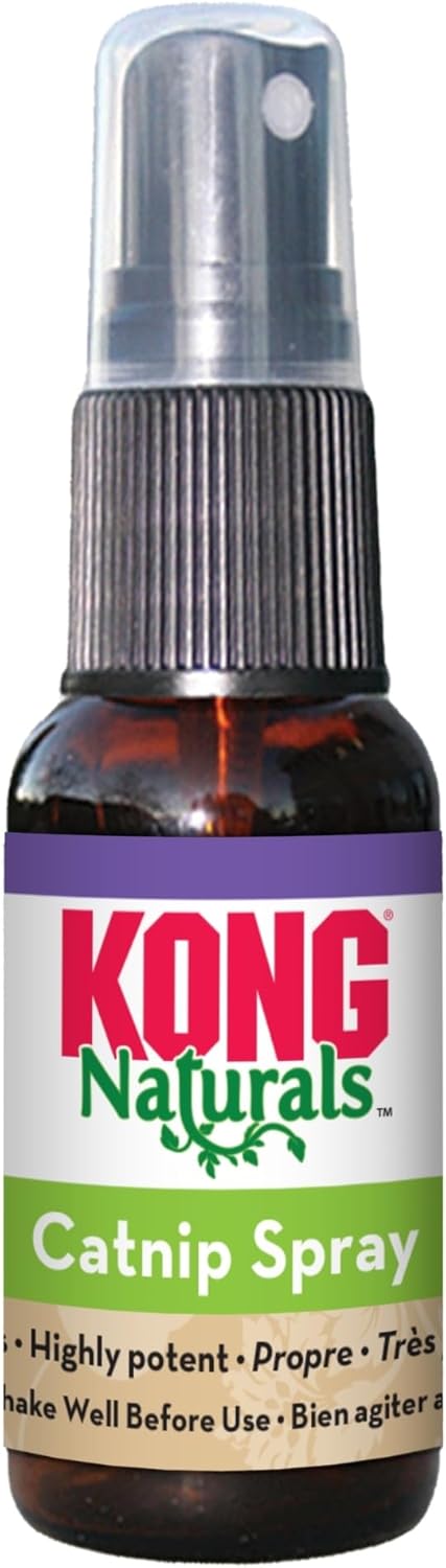 Giocattolo KONG per gatti 6