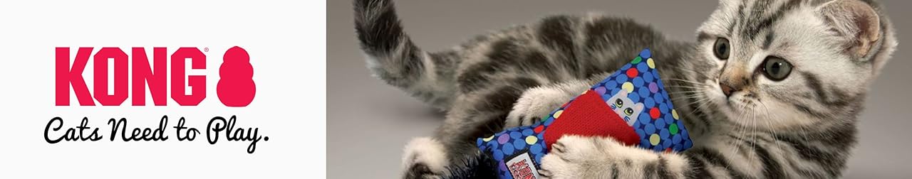 Giocattoli KONG per gatti - I gatti hanno bisogno di giocare