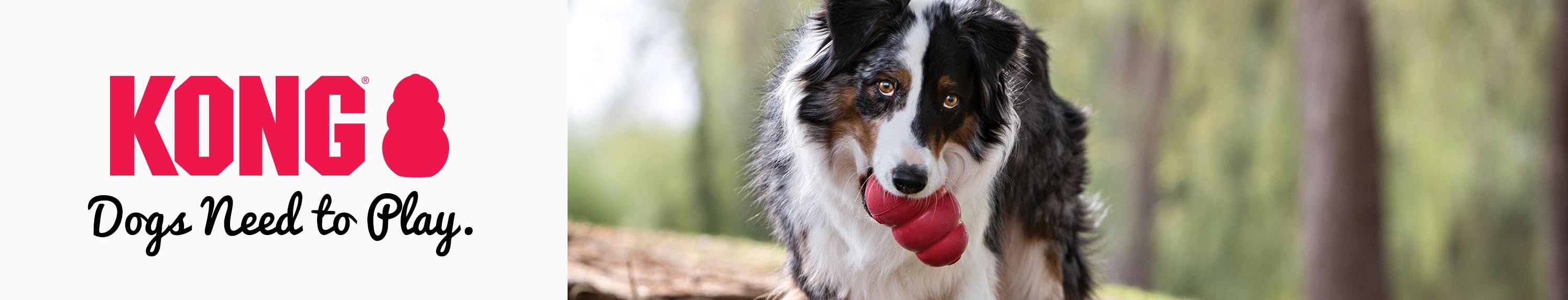 Giocattoli KONG per cani - I cani hanno bisogno di giocare
