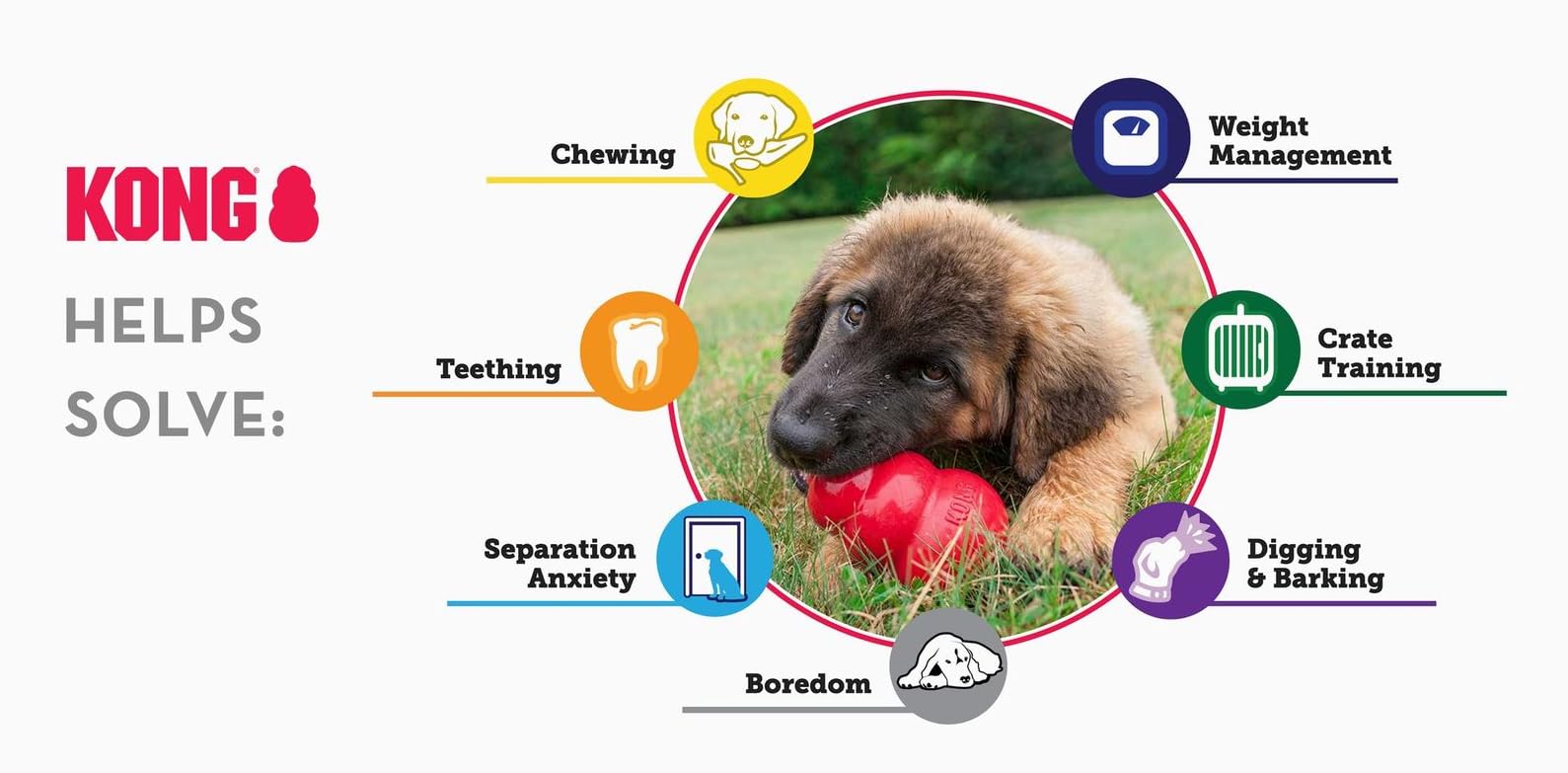 KONG toys help solve common pet challenges - chewing, teething, weight management, separation anxiety, crate training, boredom and digging